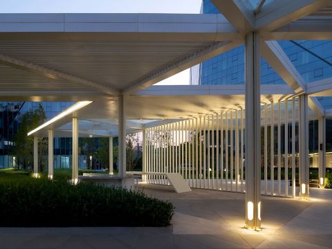 北京朝阳金茂中心