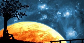 红才煜辉生态养殖体验园——生态修...