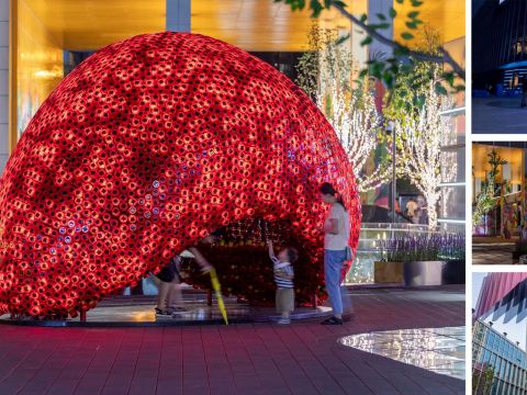 北京望京小街城市更新