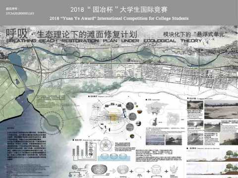 呼吸—生态理论下的滩面修复计划