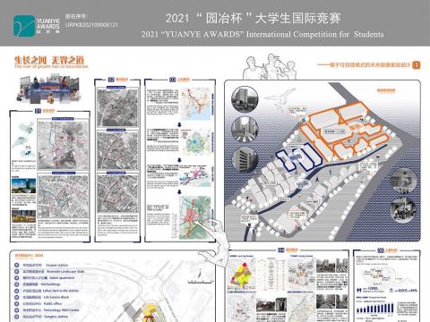 生长之河，无界之道