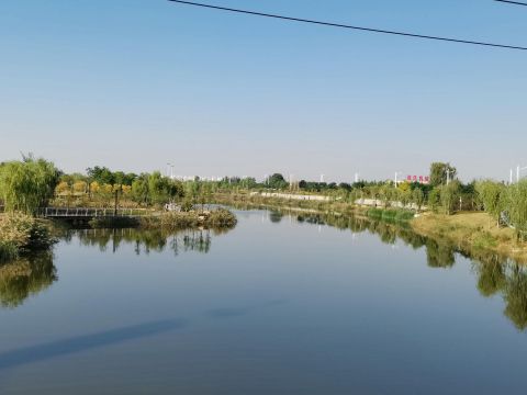 金乡县沙河两岸风光带项目