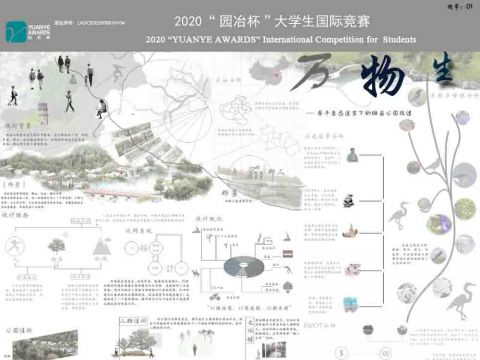 万物生--基于生态适宜下的睢县公园改造