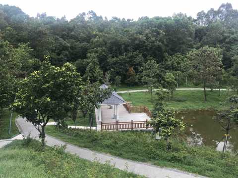 大运公园景观提升及设施完善工程设计