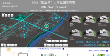 风淡淡，水茫茫，动一片晴光——与动物共生的海绵社区