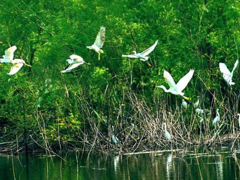 潍坊市中心城区河道弹性景观工程项目