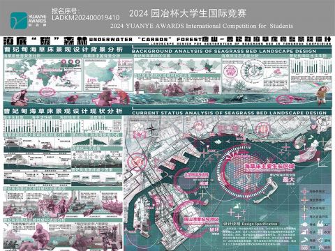 海底“碳”森林