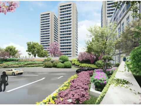 园冶杯-安徽林海园林 民生银行合肥分行绿化设计方案