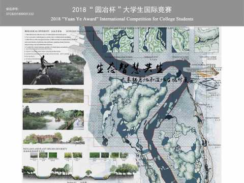 生态智慧共生---大象栖息地修复与湿地营造