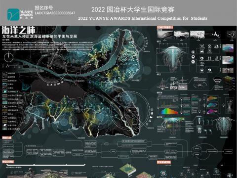 海洋之肺——互花米草入侵后滨海蓝碳系统的平衡与发展