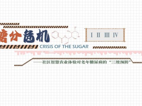 糖分危机——老年糖尿病健康管理视角下的智慧社区更新