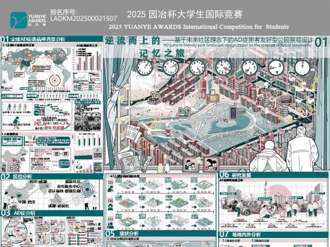 逆流而上的记忆之旅