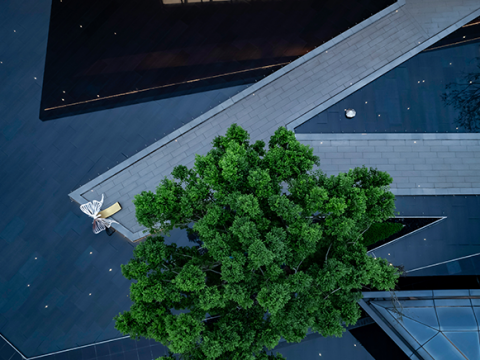 中交广西总部基地项目示范区