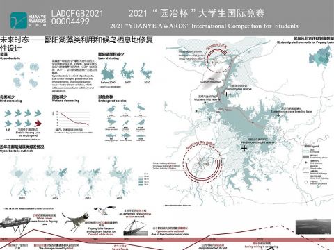 未来时态——鄱阳湖藻类利用和候鸟栖息地修复性设计