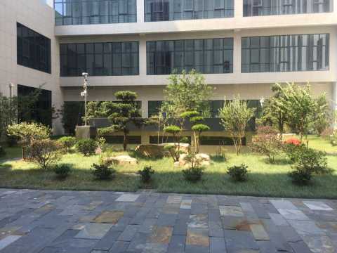 安徽城乡规划大厦景观绿化工程