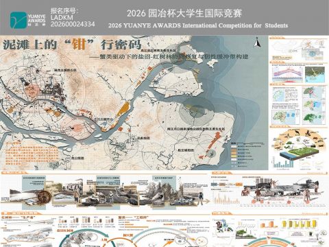 泥滩上的“钳”行密码——蟹类驱动下的盐沼-红树林协同修复与韧性缓冲带构建