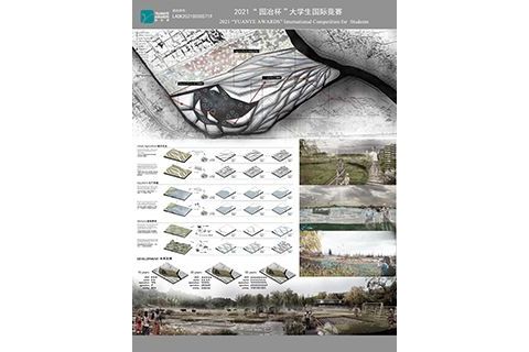 Growing Cell——Green action plan of e-waste field led by multi-level intervention 生长细胞——多级干预的电子垃圾场绿色行动计划