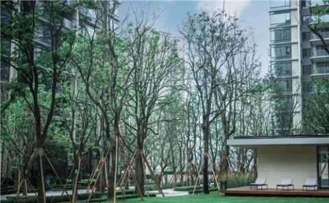 重庆龙湖新照母山项目景观工程（龙湖·尘林间）