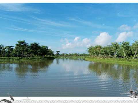 南沙湿地“一涌一景”工程施工