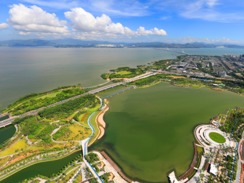 深圳市人才公园绿化工程