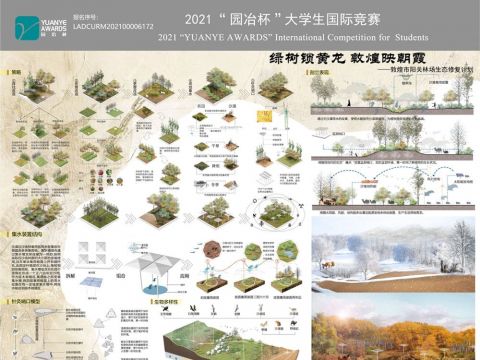 绿树锁黄龙 敦煌映朝霞——敦煌市阳关林场生态修复计划