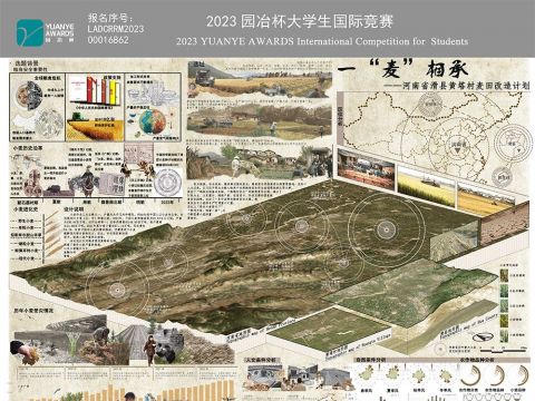 一“麦“相承——河南省滑县黄塔村麦田改造计划