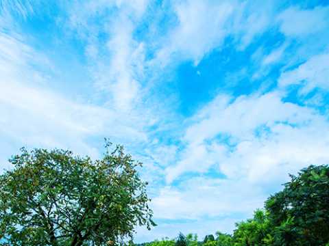 千佛山、佛慧山、金鸡岭等景区保护及雨水增渗收集利用工程金鸡岭景区建设项目设计