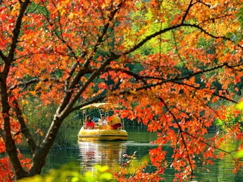 宁波·鄞州公园一期提升改造