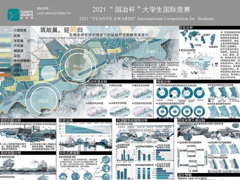 筑故巢，迎鹤归