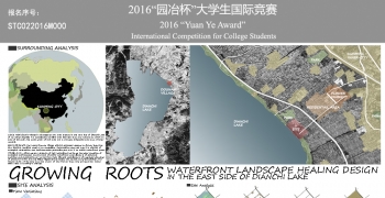 Growing Roots—Waterfront Landscape Healing Design