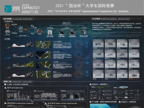 熠熠生“灰”——利用珊瑚白化空窗期韧性修复珊瑚礁生态多样性