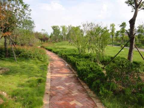 麻城市沪蓉大道及节点景观建设项目