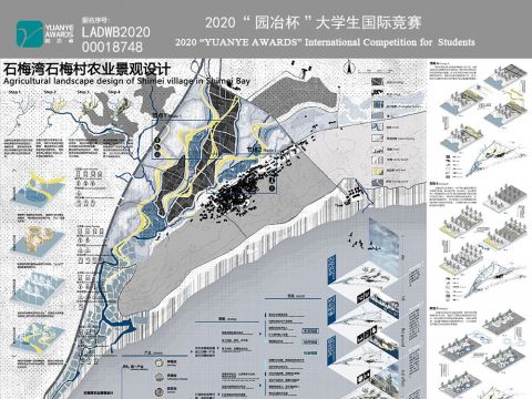 石梅湾石梅村农业景观设计
