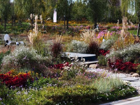 黄花沟综合公园滨水花境作品《邂鹤鸣》