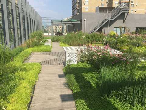 中国标准科技集团有限公司办公楼屋顶花园工程