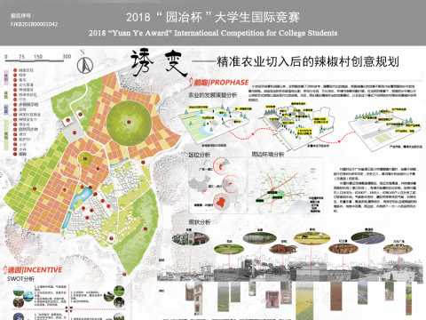 诱变——精准农业切入后的辣椒村创意规划