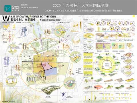 野蛮生长，向阳而生