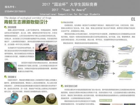 青蛙生态通道恢复设计