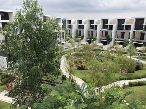 Fields of Gold, Rawang, Malaysia