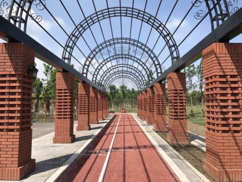 海港公园工程（应急绿化工程）设计