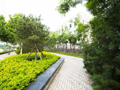 郑州航空港经济综合实验区（郑州新郑综合保税区）新港九路、十一路道路绿化BT施工项目