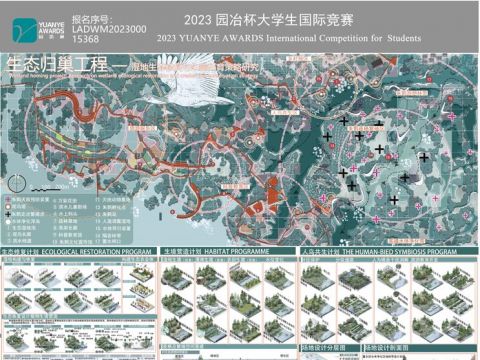 生态归巢工程——生态湿地修复与朱鹮保育策略研究