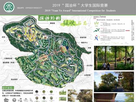 探访黔韵·绿映石龙