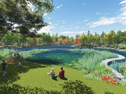 青山区倒口湖公园景观设计
