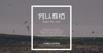 【何以雁栖——兰州雁滩公园湿地改造】