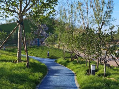 振堂公园改造扩建工程