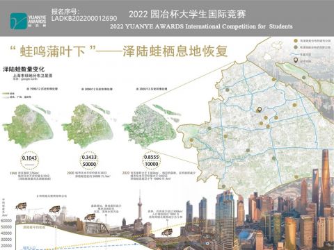 “蛙鸣蒲叶下”——泽陆蛙栖息地恢复