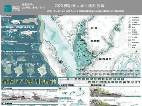 春风又“绿”北海岸