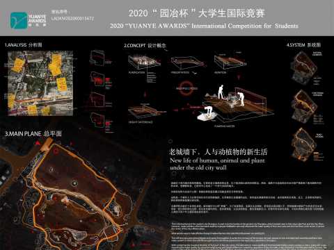 老城墙下，人与动植物的新生活 | New life of human, animal and plant  under the old city wall