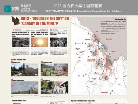 BAT——“MOUSE IN THE SKY”OR“CANARY IN THE MINE”?